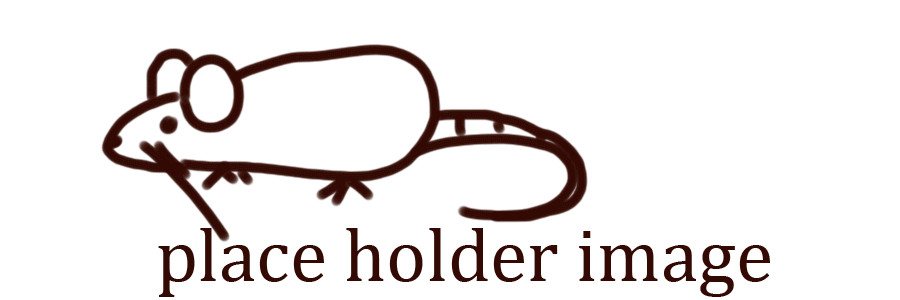 placeholder will replace soon